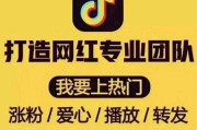 快手粉丝怎么涨得快软件_快手粉丝怎么涨得快软件下载
