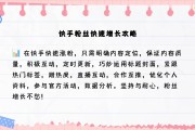 如何让快手粉丝快速增长呢视频_怎么才能让快手的粉丝快速的长起来