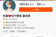 快手卖粉丝网站(快手粉丝出售网站)