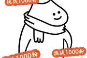 免费涨1000粉丝群(怎么快速涨1000粉丝)
