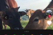 苹果手机抖音多张照片怎么上传_苹果抖音怎么发照片图集2张