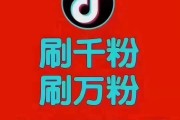 怎样获得抖音粉丝量呢视频教程（怎样获得抖音粉丝量呢视频教程下载）