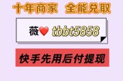 快手作品点赞自助平台微信支付(快手作品点赞自助平台微信支付是真的吗)
