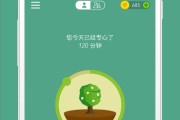 手机怎样刷网课(如何使用手机刷网课)
