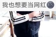 网红平台快手点赞(快手上点赞挣钱是真的吗)
