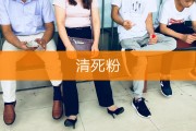 快手死粉购买(快手买死粉有什么好处)