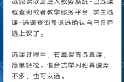 选修刷网课网址(选修课网上刷课怎么刷呀)
